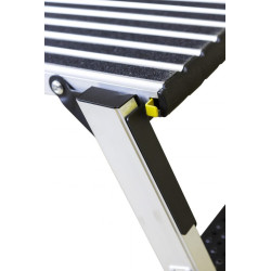 MARCHEPIED DELTA STEP